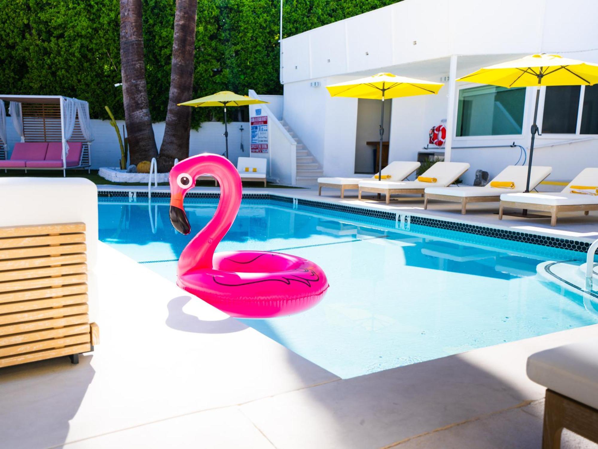 The Cactai Hotel Palm Springs Luaran gambar